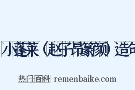 小蓬莱（赵子昂篆颜）造句是什么意思的图片